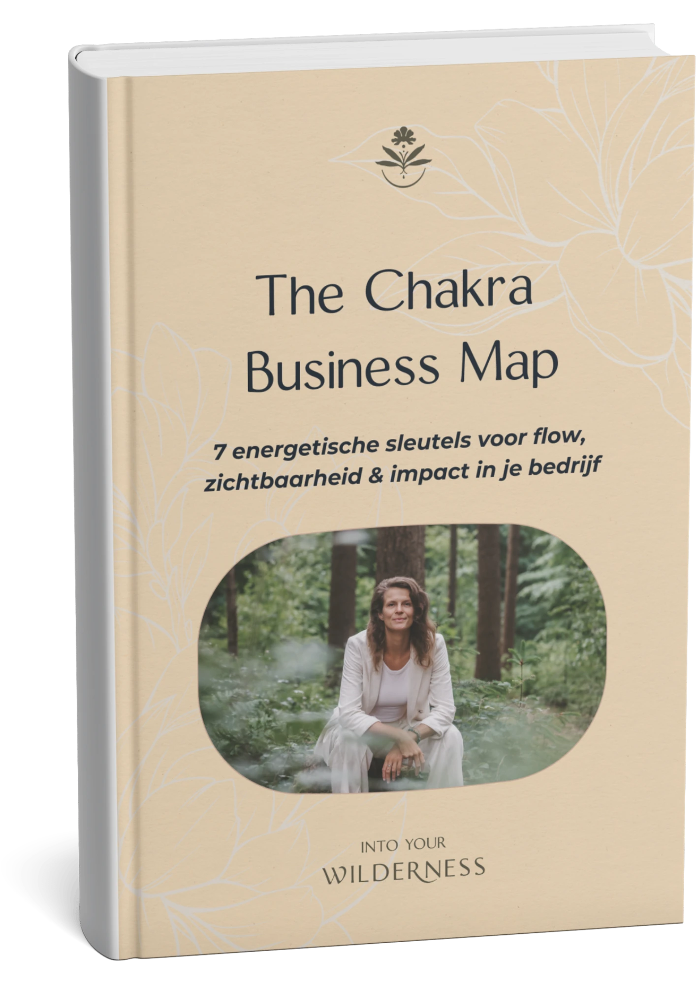 Chakra Business Map Barbara Schriek
