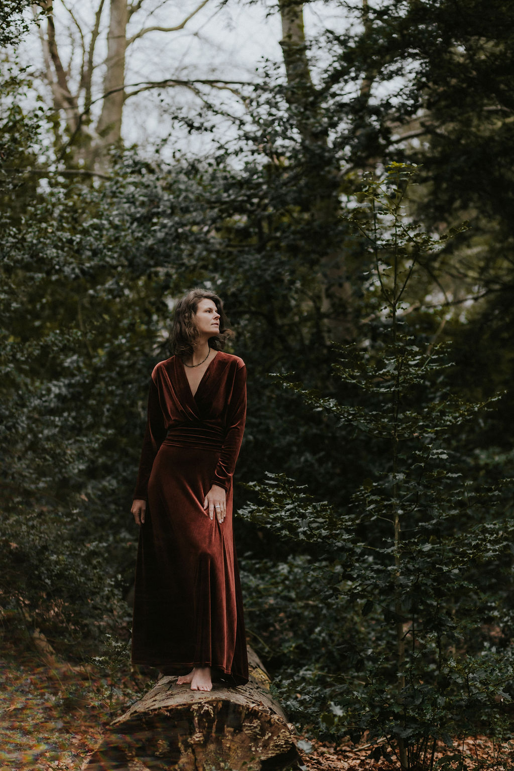 Barbara Schriek Business Coach