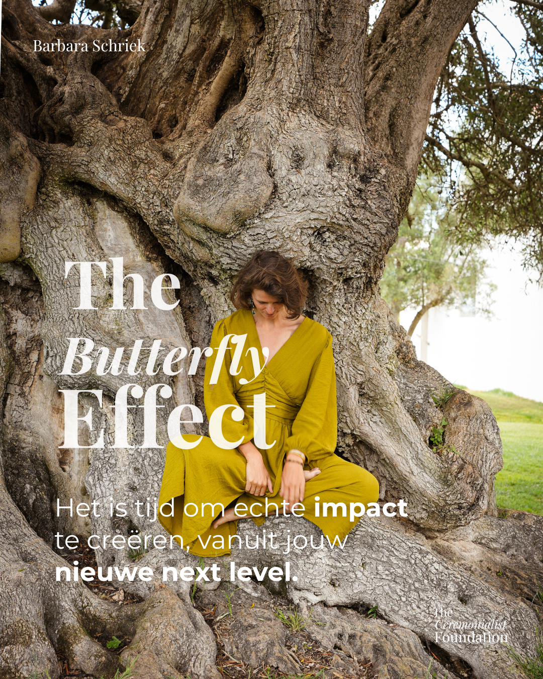 The Butterfly Effect